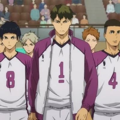 The Shiratorizawa Volleyball Team thumbnail