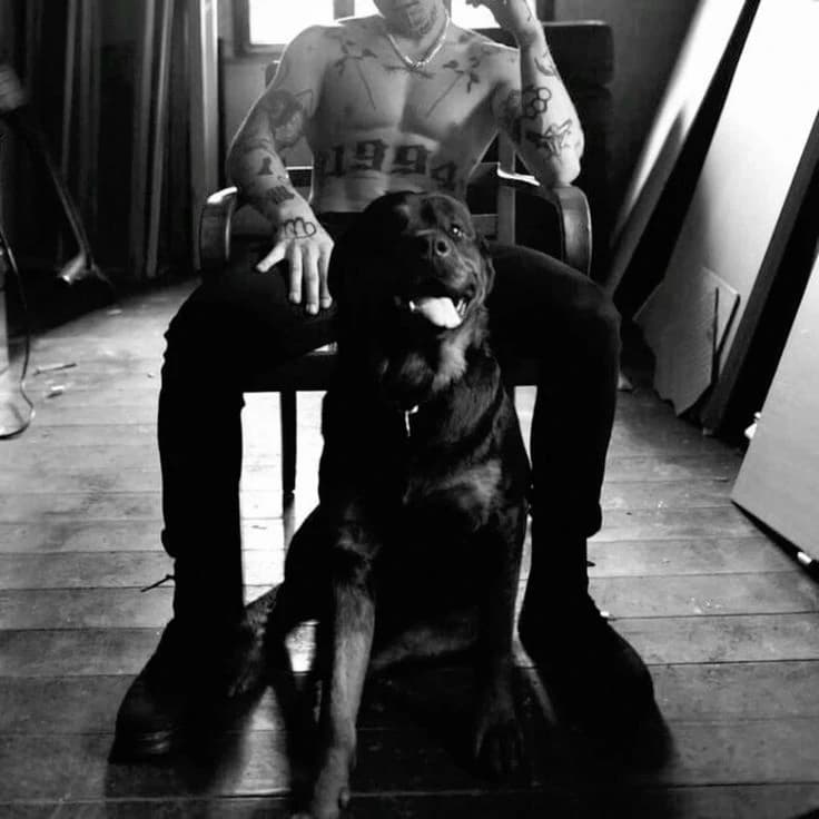 Nicolas Matrescu Balvonotti / Son of a gang leader / Very dangerous thumbnail