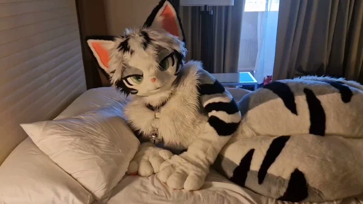 Furry roommate thumbnail