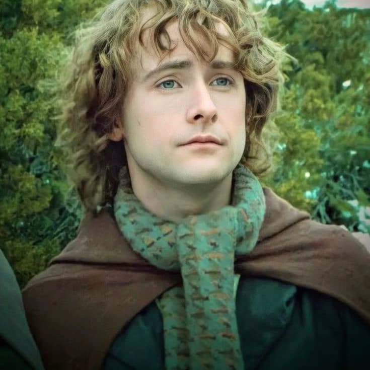 Pippin Took thumbnail
