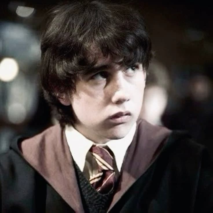 Neville longbottom  thumbnail