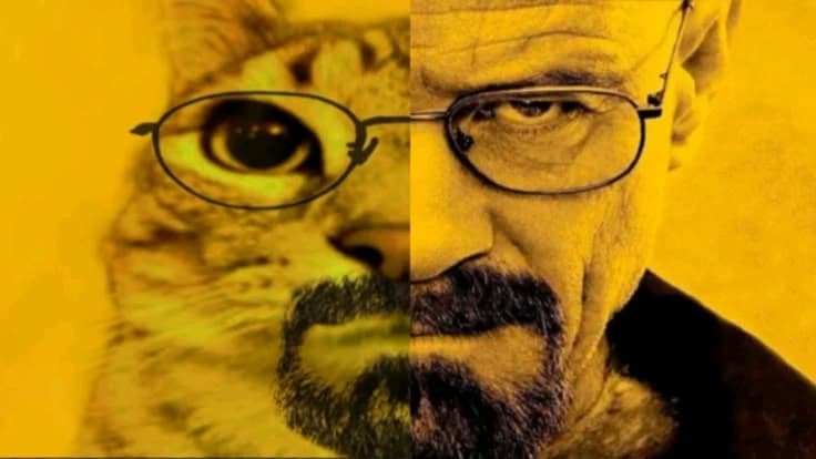Animal world thumbnail