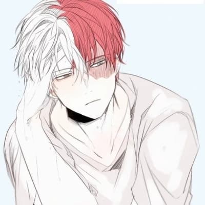 Shoto Todoroki thumbnail