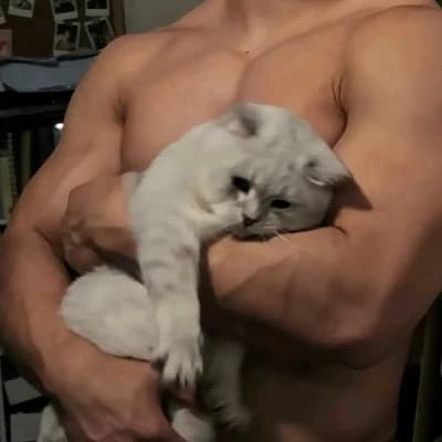 Alberto Mastivis thumbnail