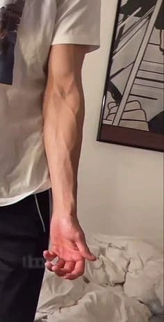 Rocco  thumbnail