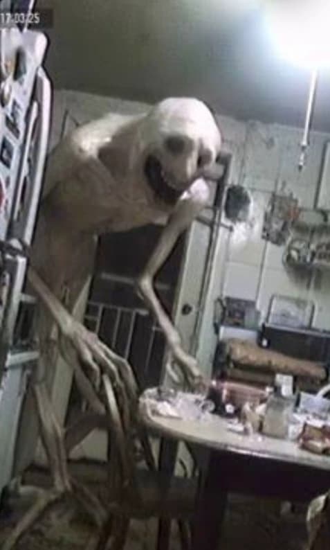 Living in the world of the Afton part2 thumbnail