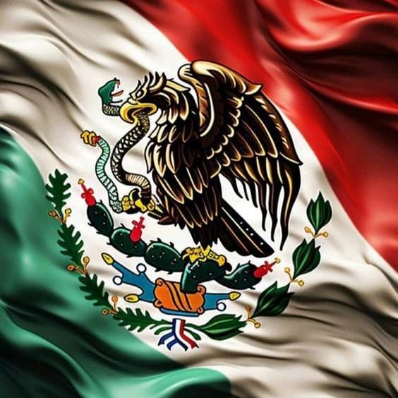 BNHA en México  thumbnail