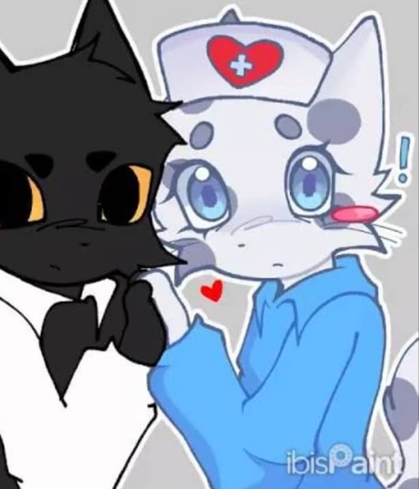animal hospital thumbnail