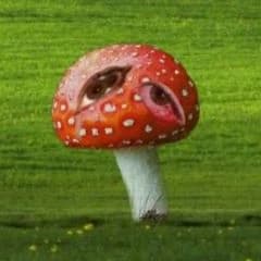 dreamcore mushroom thumbnail