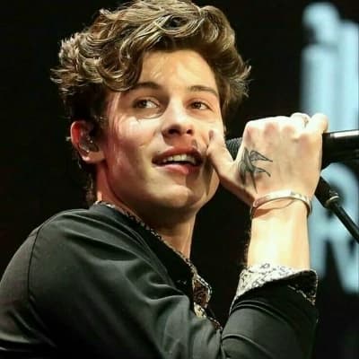 Shawn mended thumbnail