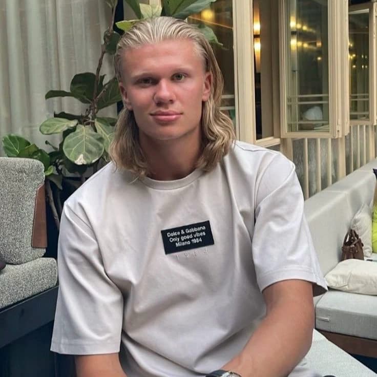 Erling Haland thumbnail