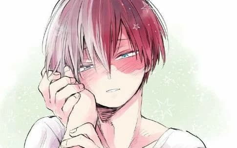 Shoto Todoroki thumbnail