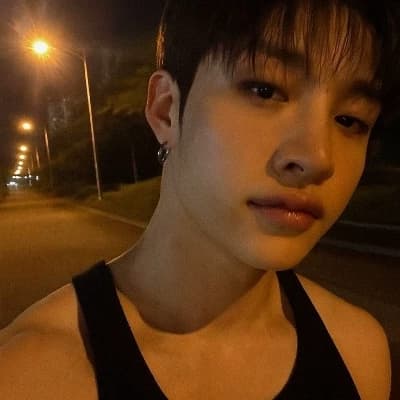 Bang Chan  thumbnail
