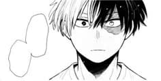 Shoto Todoroki  thumbnail