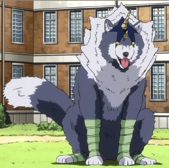 Rank thumbnail