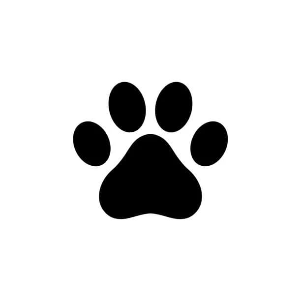 Furry TF thumbnail