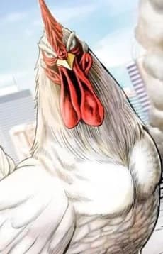 Keiji The Rooster thumbnail
