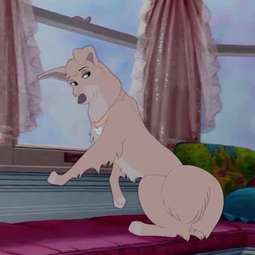 Lady (dog) thumbnail