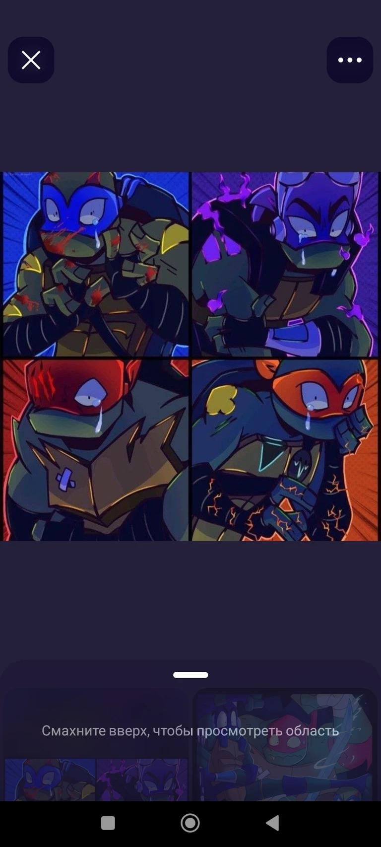 Turtles thumbnail