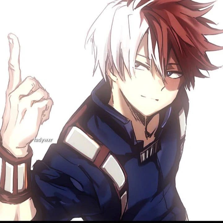Shoto Todoroki thumbnail