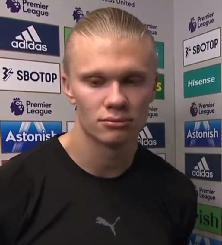 Erling Haaland - BL ⚣ thumbnail