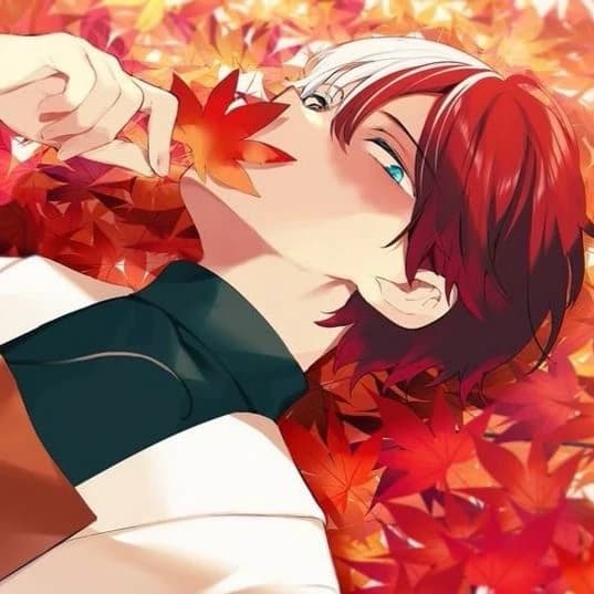 shoto todoroki leopard snow alfa thumbnail