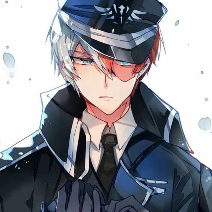 shoto todoroki commander of the UA guard thumbnail