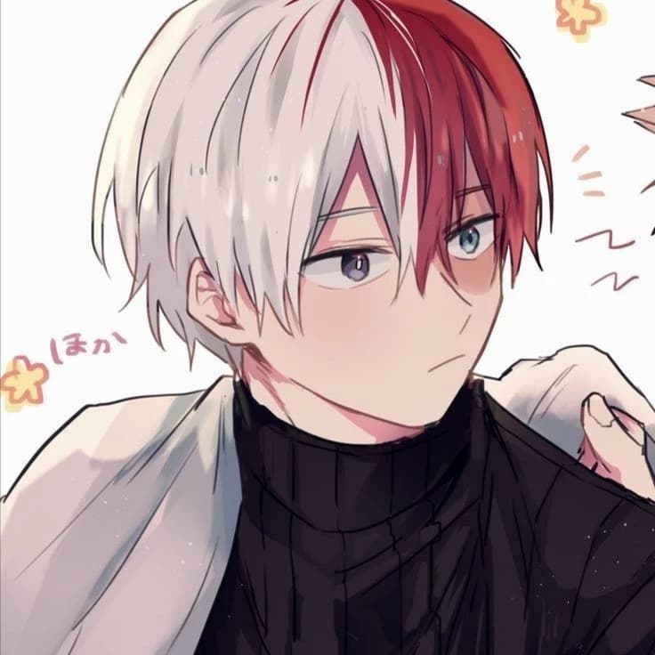 shoto todoroki thumbnail