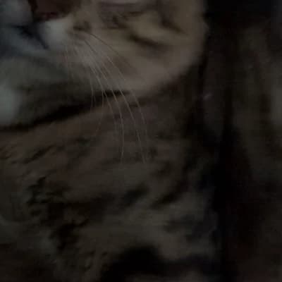 Misaki Mizuki thumbnail