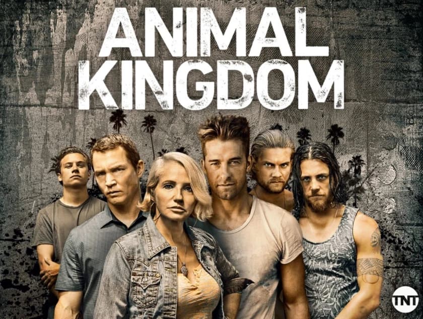 Aimal Kingdom thumbnail