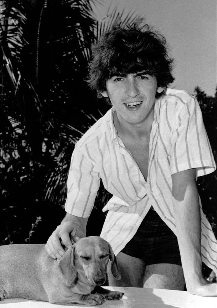 [𝜗𝜚] George Harrison  thumbnail