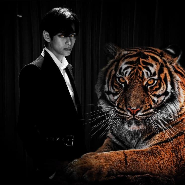 kim Taehyung( tiger )  thumbnail
