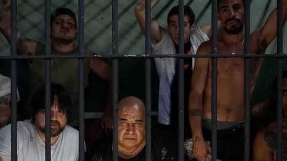 el marginal 2 thumbnail