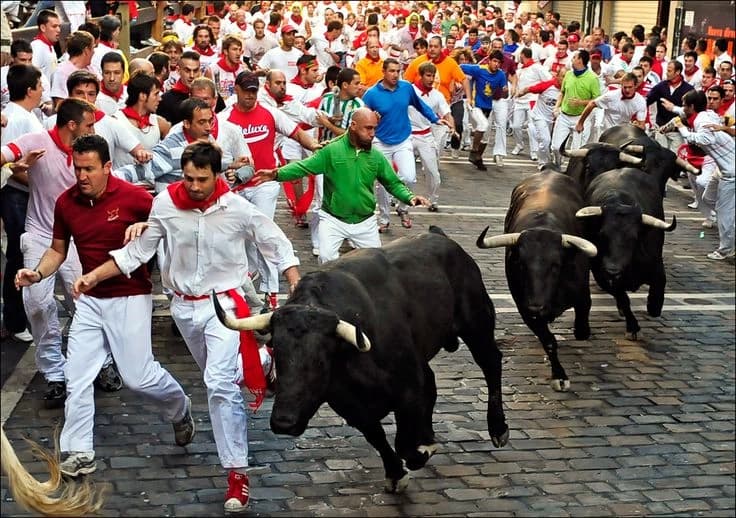 Bull run thumbnail