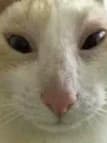 Player thumbnail
