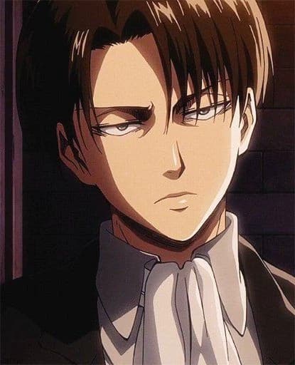 Levi Ackerman  thumbnail
