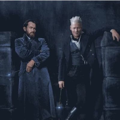 Albus Dumbledore and Gerllet Grindelwald thumbnail
