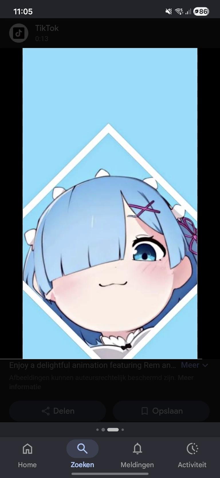 rem thumbnail