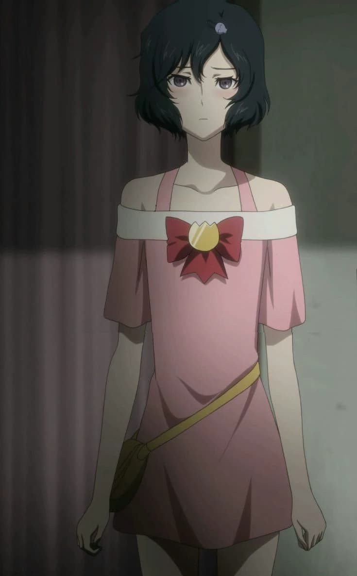 steins gate thumbnail