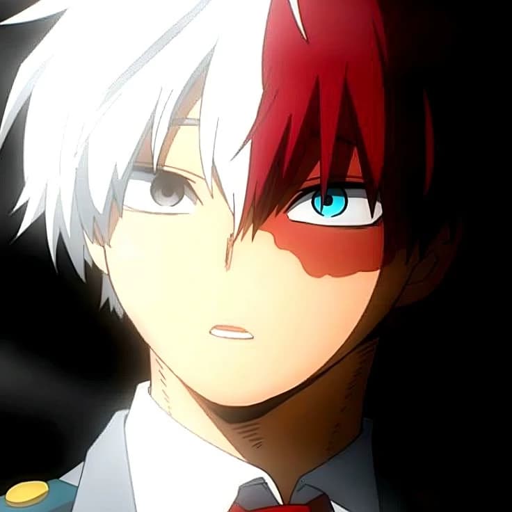 Shoto Todoroki  thumbnail