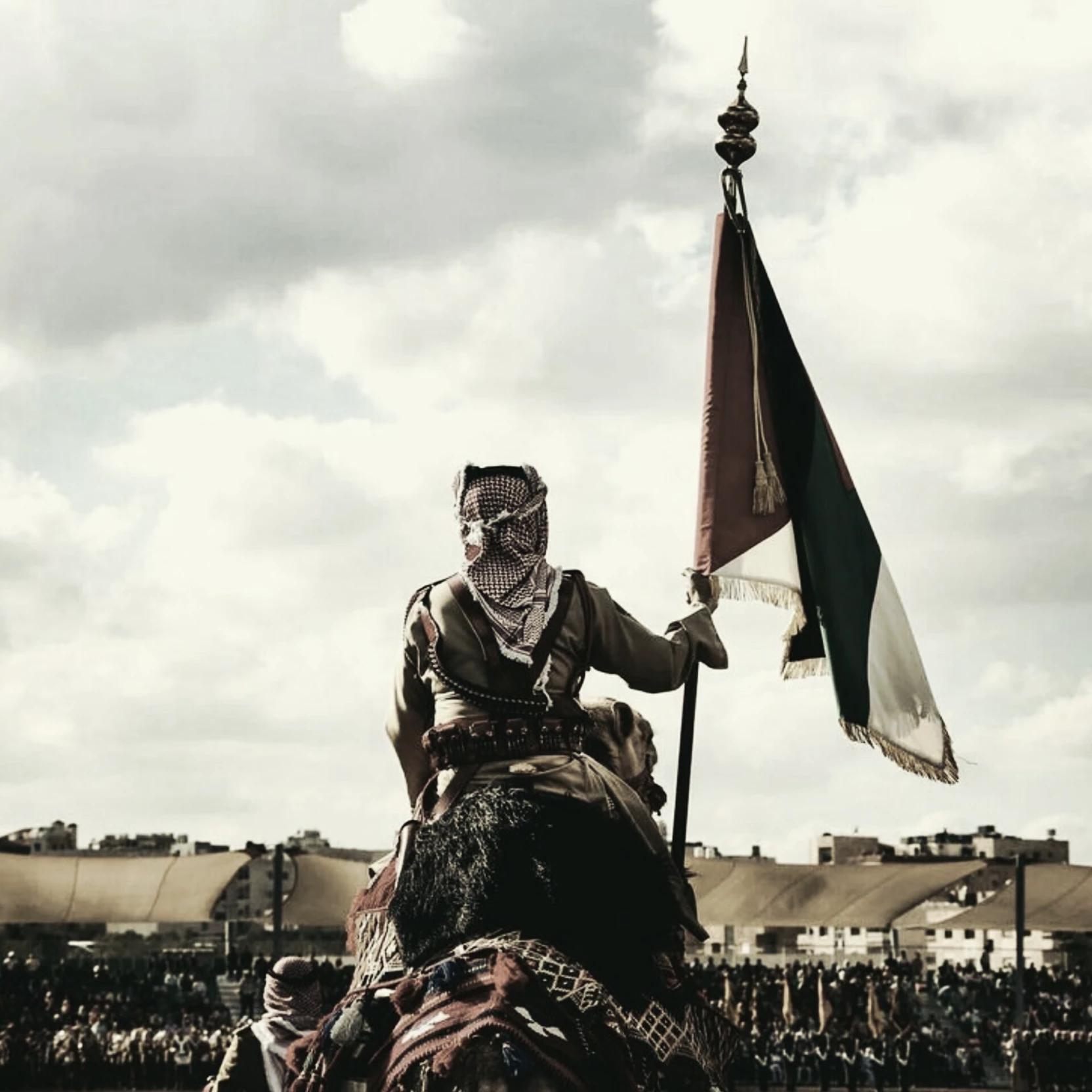 Jordanian knight  thumbnail