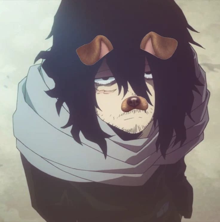 shota Aizawa thumbnail