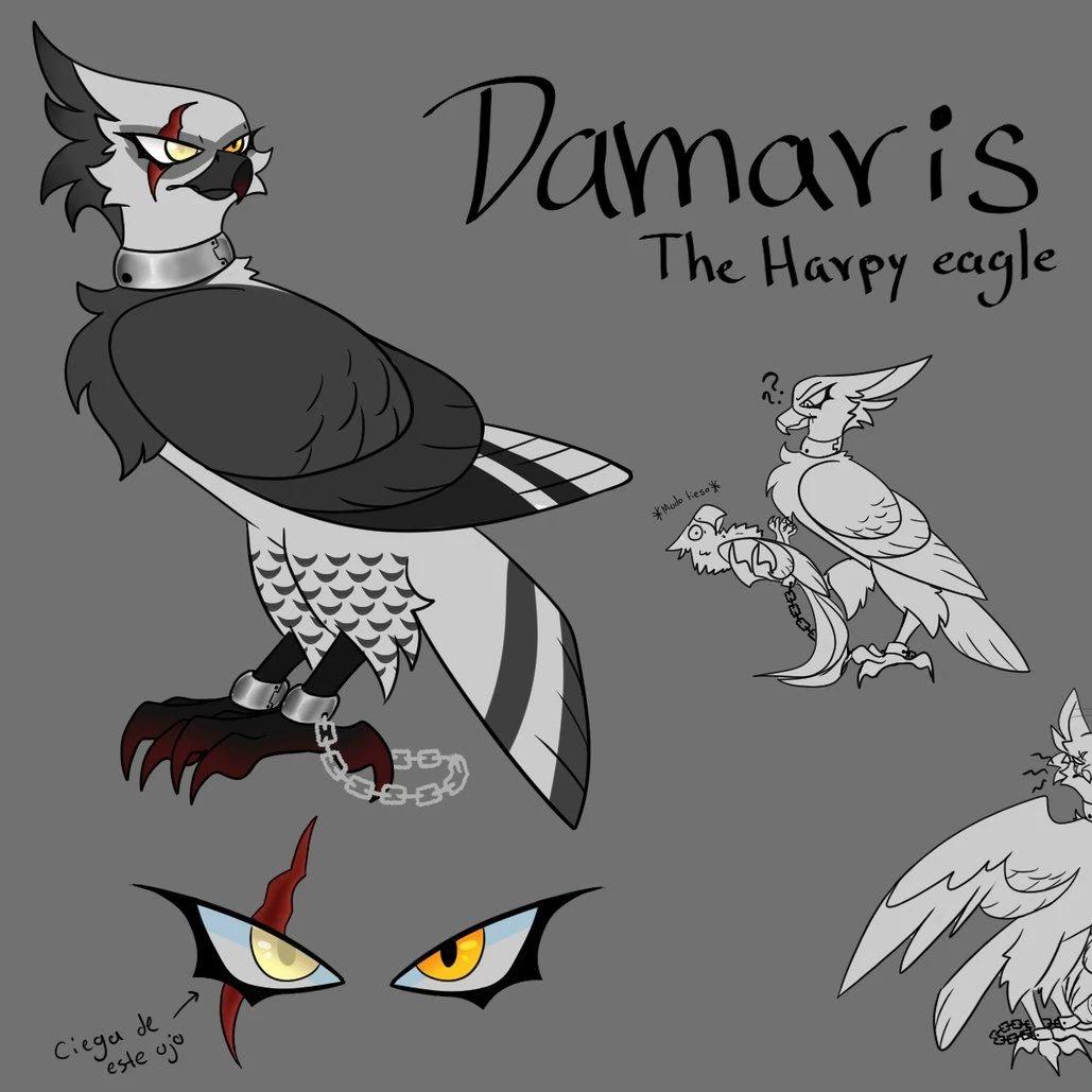 Damaris thumbnail