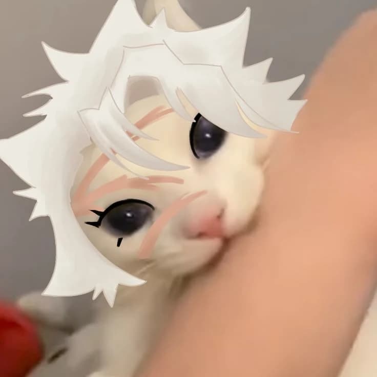 Demon slayer Hashiras - Sanemi cat thumbnail