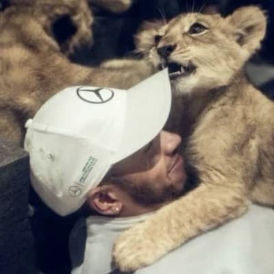 Lewis hamilton  thumbnail