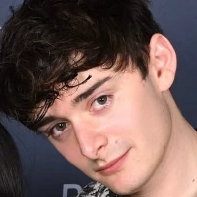 Noah Schnapp  thumbnail