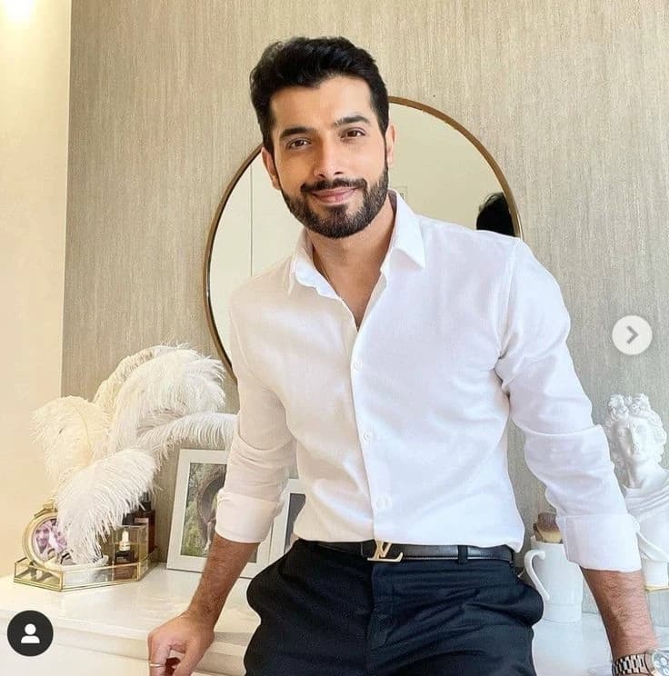 Veer Malhotra ( Arranged Husband )  thumbnail