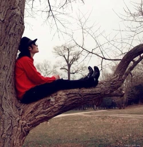 Michael Jackson  thumbnail