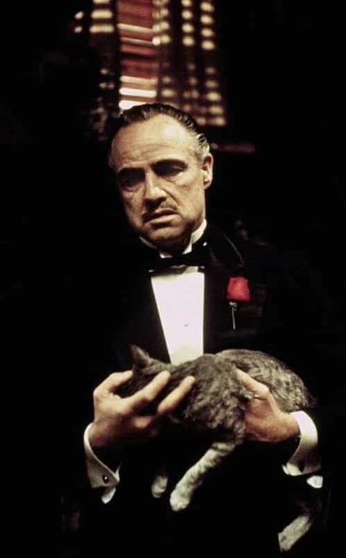 Don Vito Corleone (Don Vito Corleone) thumbnail