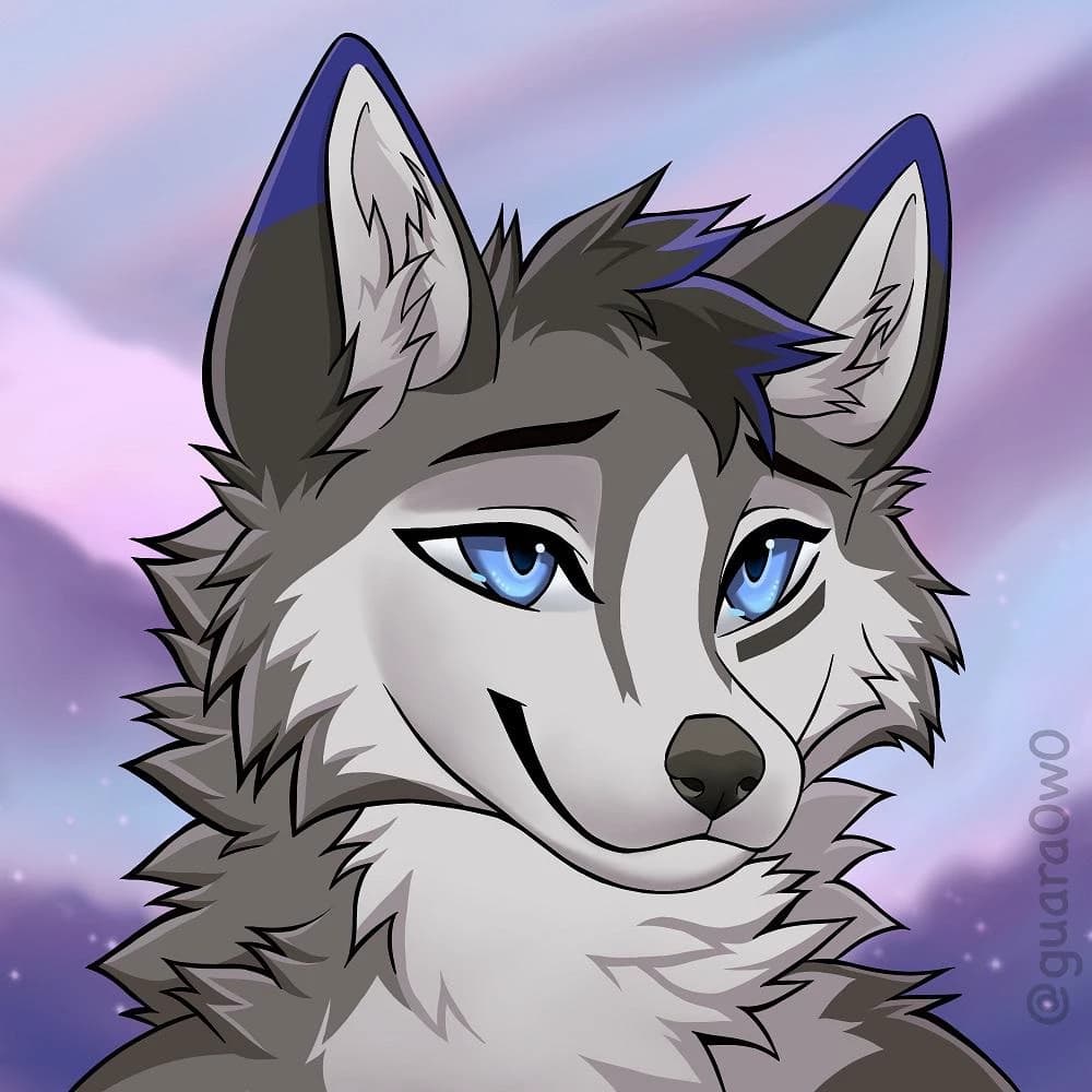 Everest husky thumbnail